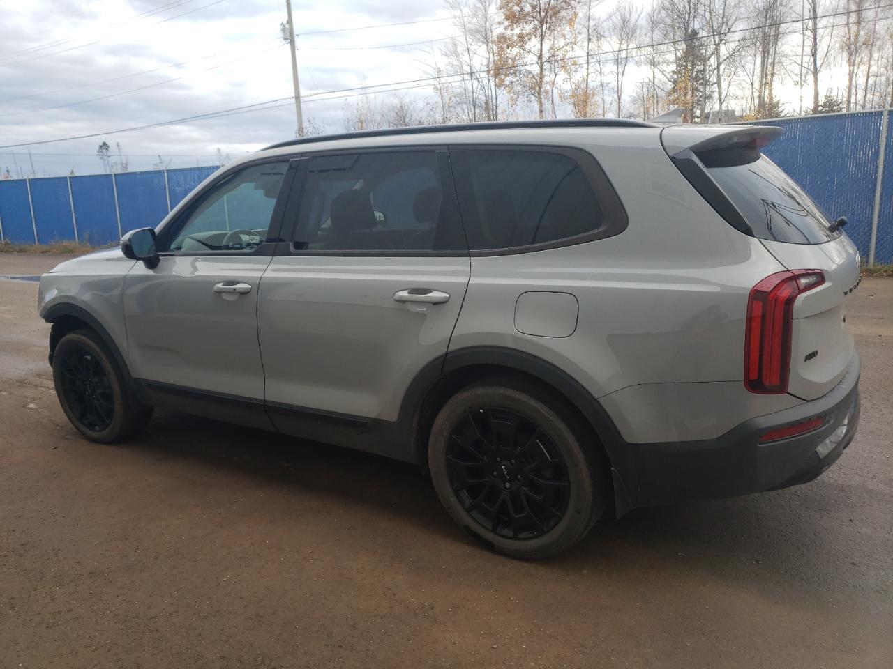2022 KIA TELLURIDE SX VIN:5XYP5DHC2NG262674