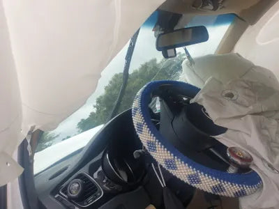 2017 Kia Carnival KNAMC81ABHS270912 VIN:KNAMC81ABHS270912