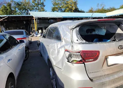 2020 Kia Sorento KNAPG81BBLA610348 VIN:KNAPG81BBLA610348