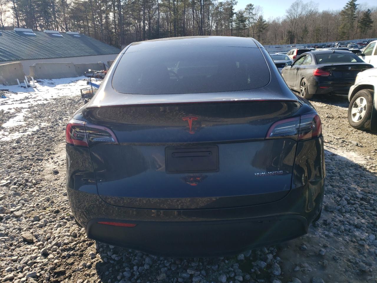 2024 TESLA MODEL Y  VIN:7SAYGDEF6RF033881