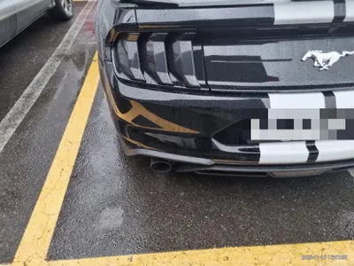 2019 Ford Mustang VIN: