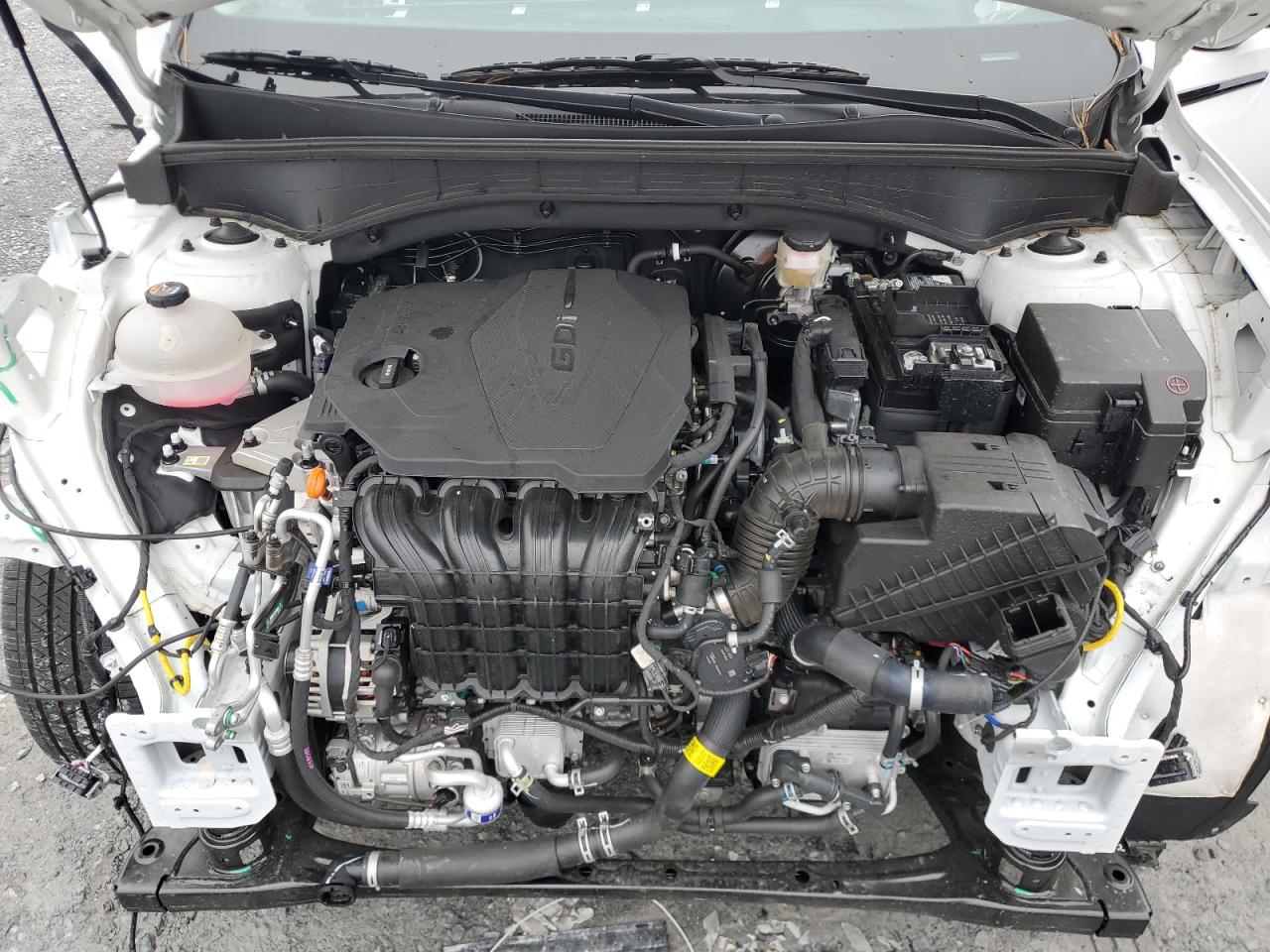2023 KIA SORENTO S VIN:5XYRL4LC6PG206584