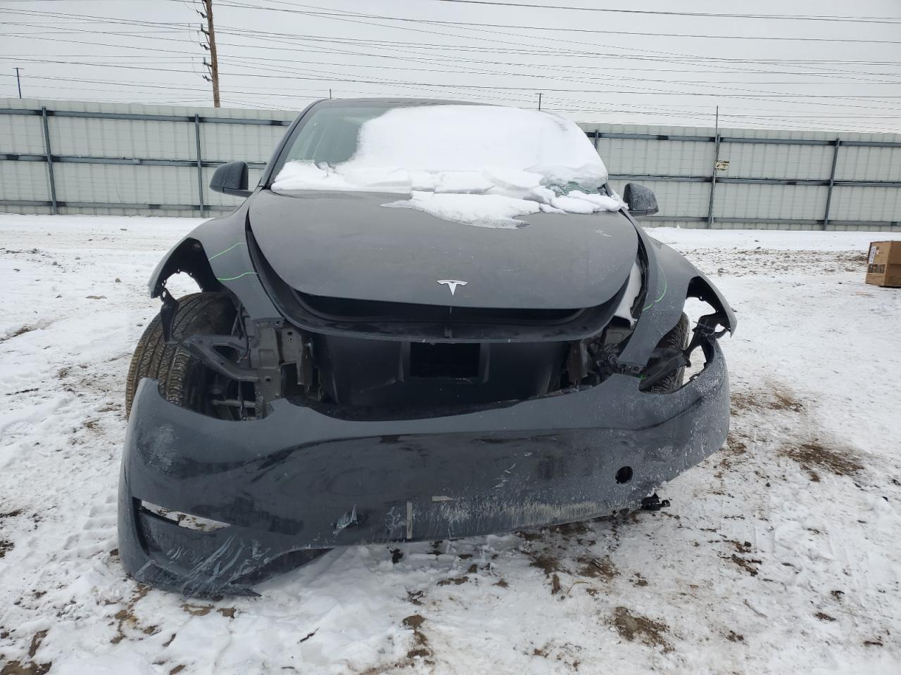 2024 TESLA MODEL Y  VIN:7SAYGDEE3RF178884