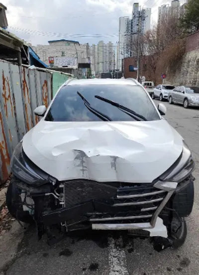 2019 Hyundai Tucson KMHJ581ABKU868617 VIN:KMHJ581ABKU868617