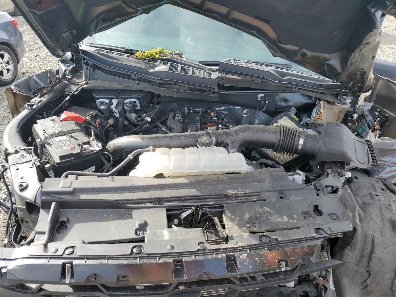 2024 FORD F150 XLT VIN:1FTFW3L87RFA15083