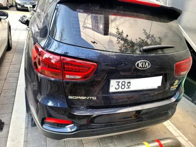 2019 Kia Sorento KNAPH81ABLA569735 VIN:KNAPH81ABLA569735