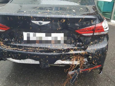 2020 Genesis G80 VIN: