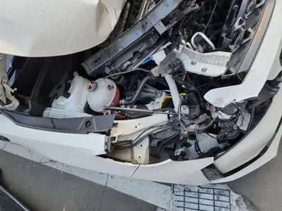 2021 Kia Sorento KNARF81BHMA039262 VIN:KNARF81BHMA039262