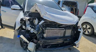 2016 Hyundai Santa FE KMHSW81UBGU659197 VIN:KMHSW81UBGU659197