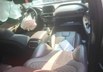 2019 Hyundai Santa FE KMHS581BDKU060270 VIN:KMHS581BDKU060270