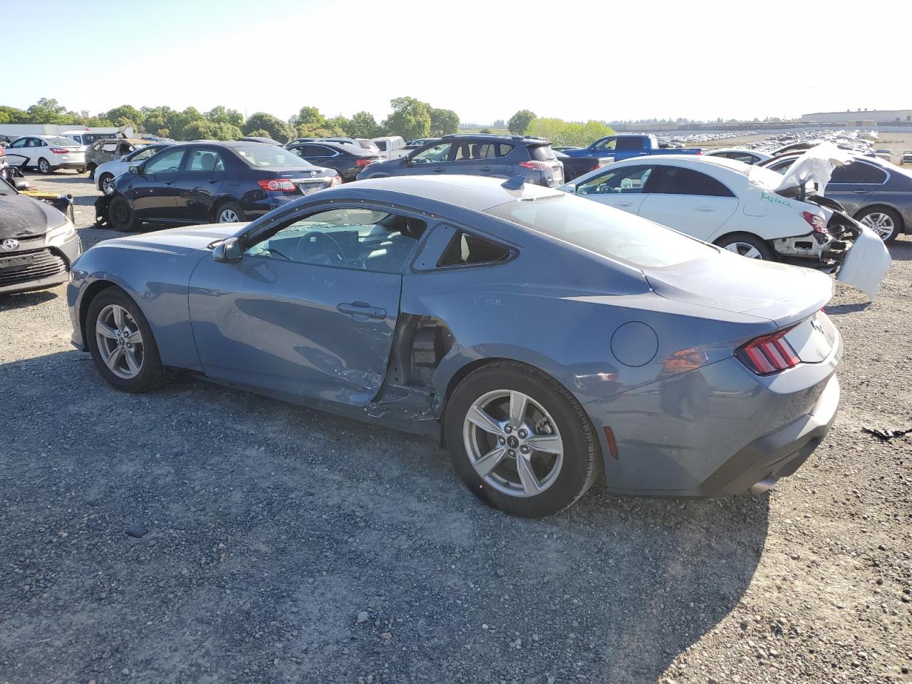 2024 FORD MUSTANG  VIN:1FA6P8TH8R5108460