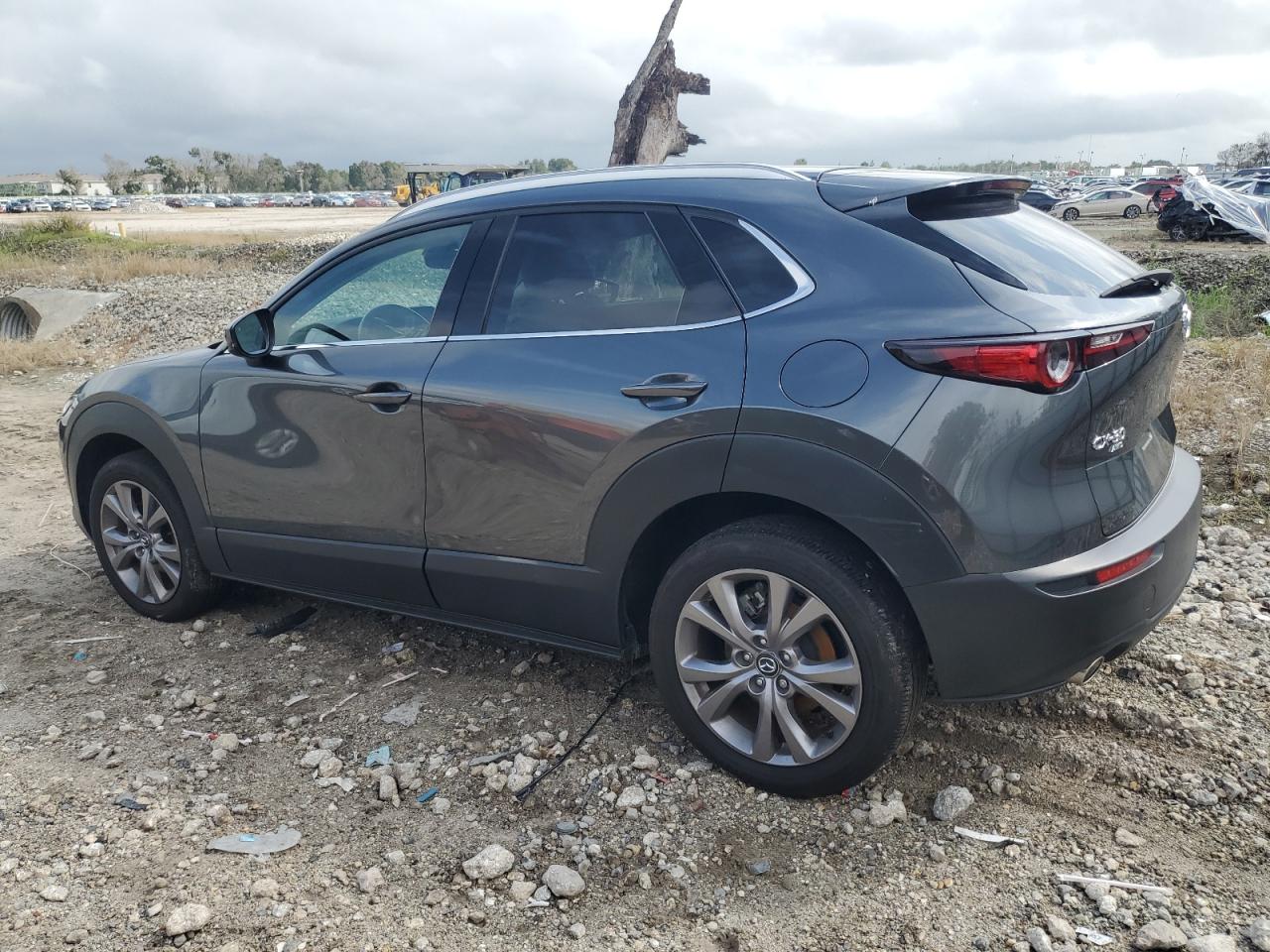 2023 MAZDA CX-30 PREMIUM VIN:3MVDMBDM1PM538372