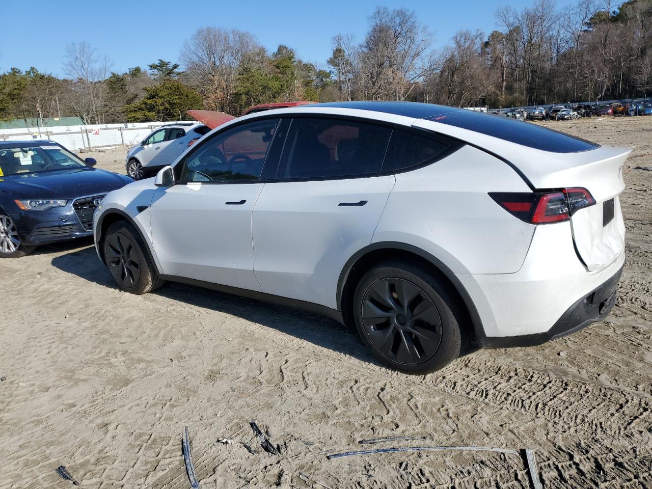 2024 TESLA MODEL Y  VIN:7SAYGDED1RF169639