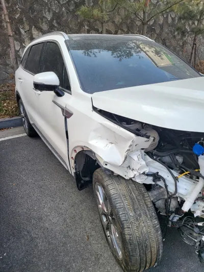 2020 Kia Sorento KNARF81BHMA008085 VIN:KNARF81BHMA008085