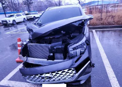 2021 Hyundai Santa FE KMHS381HGMU343713 VIN:KMHS381HGMU343713