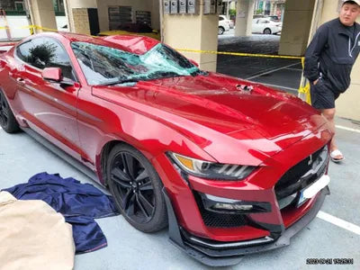 2017 Ford Mustang 507KM1FA6P8TH7H52 VIN:507KM1FA6P8TH7H52