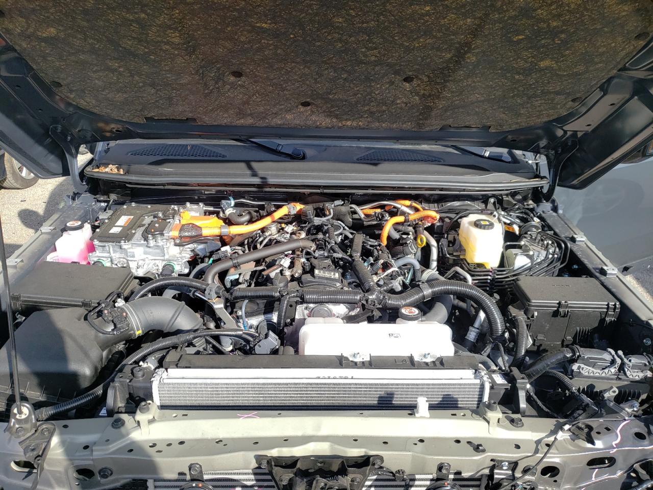 2024 TOYOTA LAND CRUISER BASE VIN:JTEABFAJ5RK003885