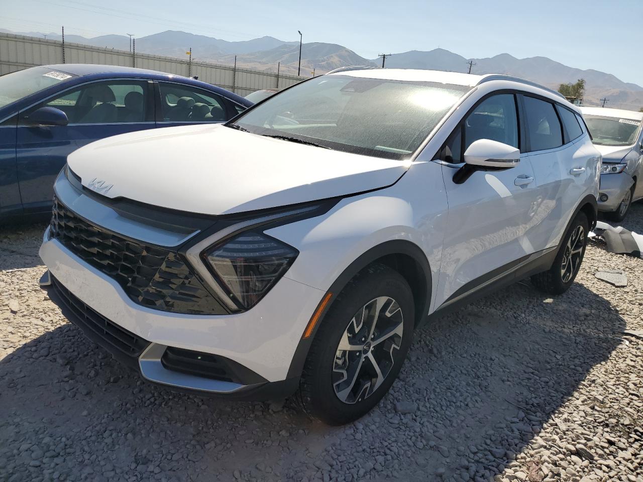 2024 KIA SPORTAGE EX VIN:5XYK3CDF0RG203137