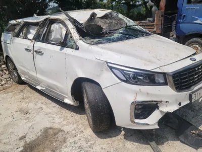 2019 Kia Carnival KNAME81ABKS494409 VIN:KNAME81ABKS494409