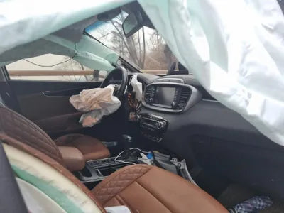 2019 Kia Sorento KNAPH81ABLA604164 VIN:KNAPH81ABLA604164