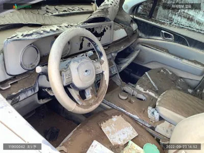 2020 Kia Carnival KNANC81BBMS002785 VIN:KNANC81BBMS002785