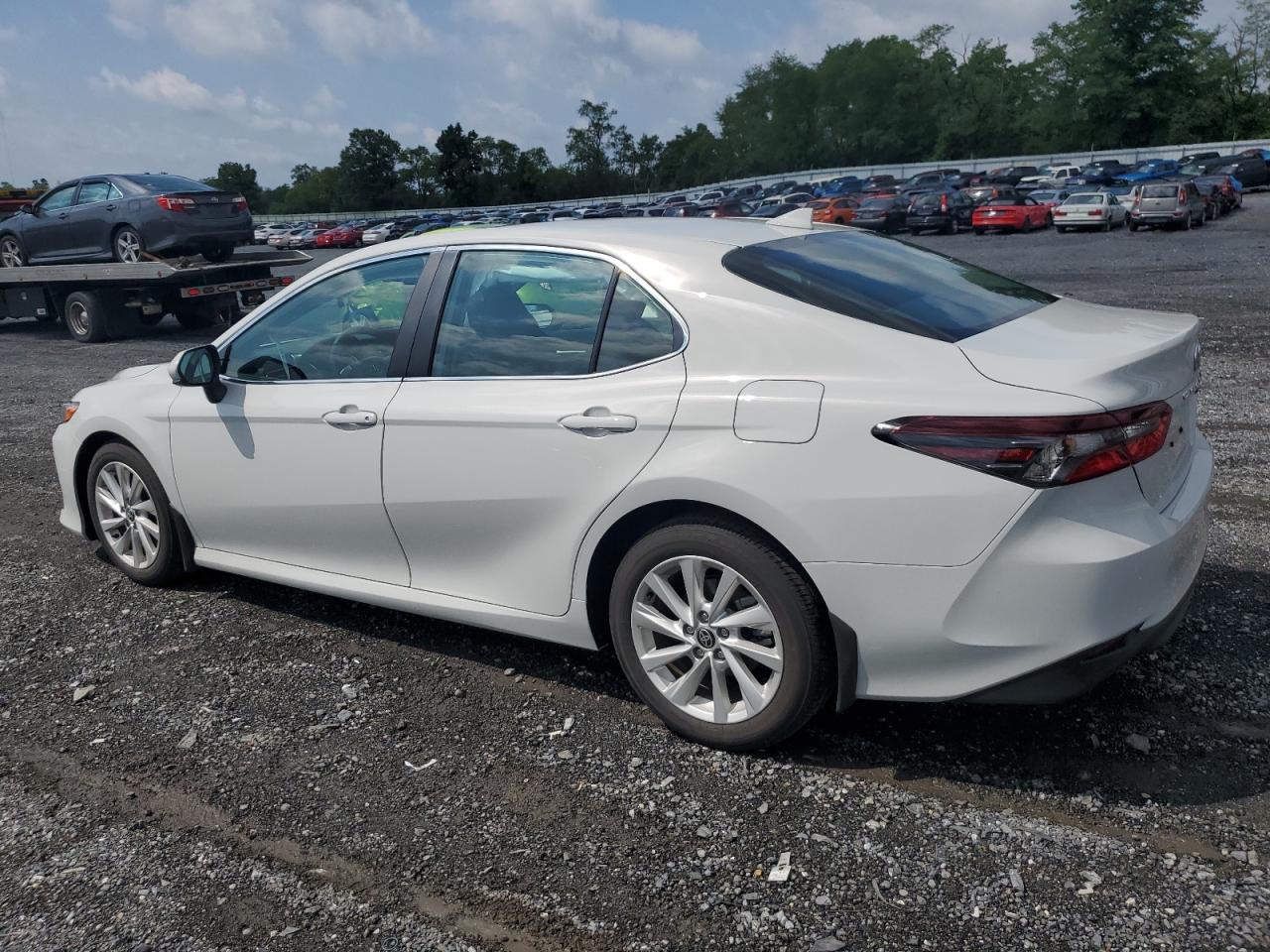 2024 TOYOTA CAMRY LE VIN:4T1C11AK8RU232055