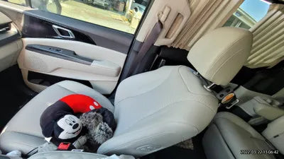2020 Kia Carnival KNANE813BMS036399 VIN:KNANE813BMS036399