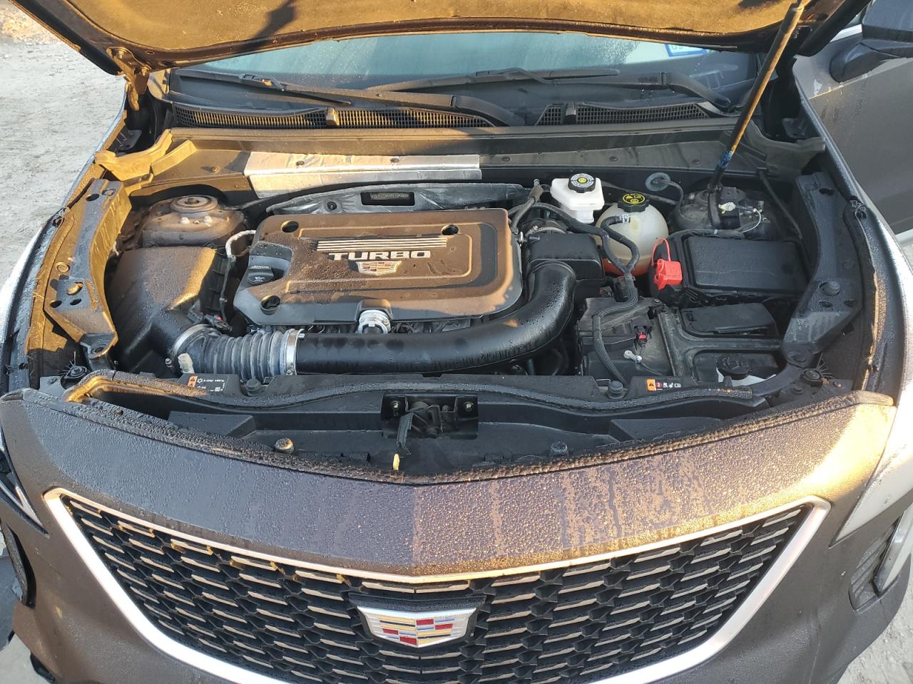2023 CADILLAC XT4 PREMIUM LUXURY VIN:1GYFZCR44PF104869