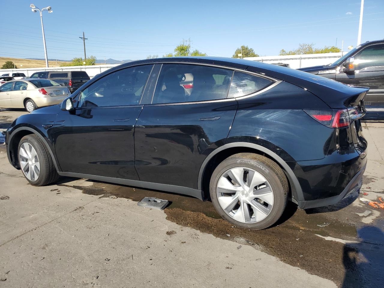 2023 TESLA MODEL Y  VIN:7SAYGDEEXPF868208