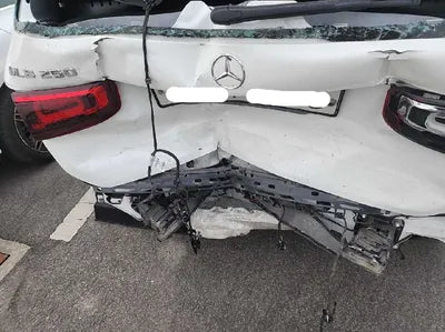 2020 Mercedes-Benz B 250 W1N4M4HB8LW055809 VIN:W1N4M4HB8LW055809