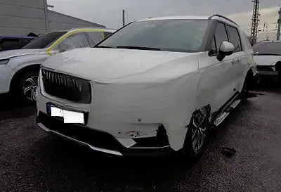 2021 Kia Carnival KNANC81BBMS019320 VIN:KNANC81BBMS019320