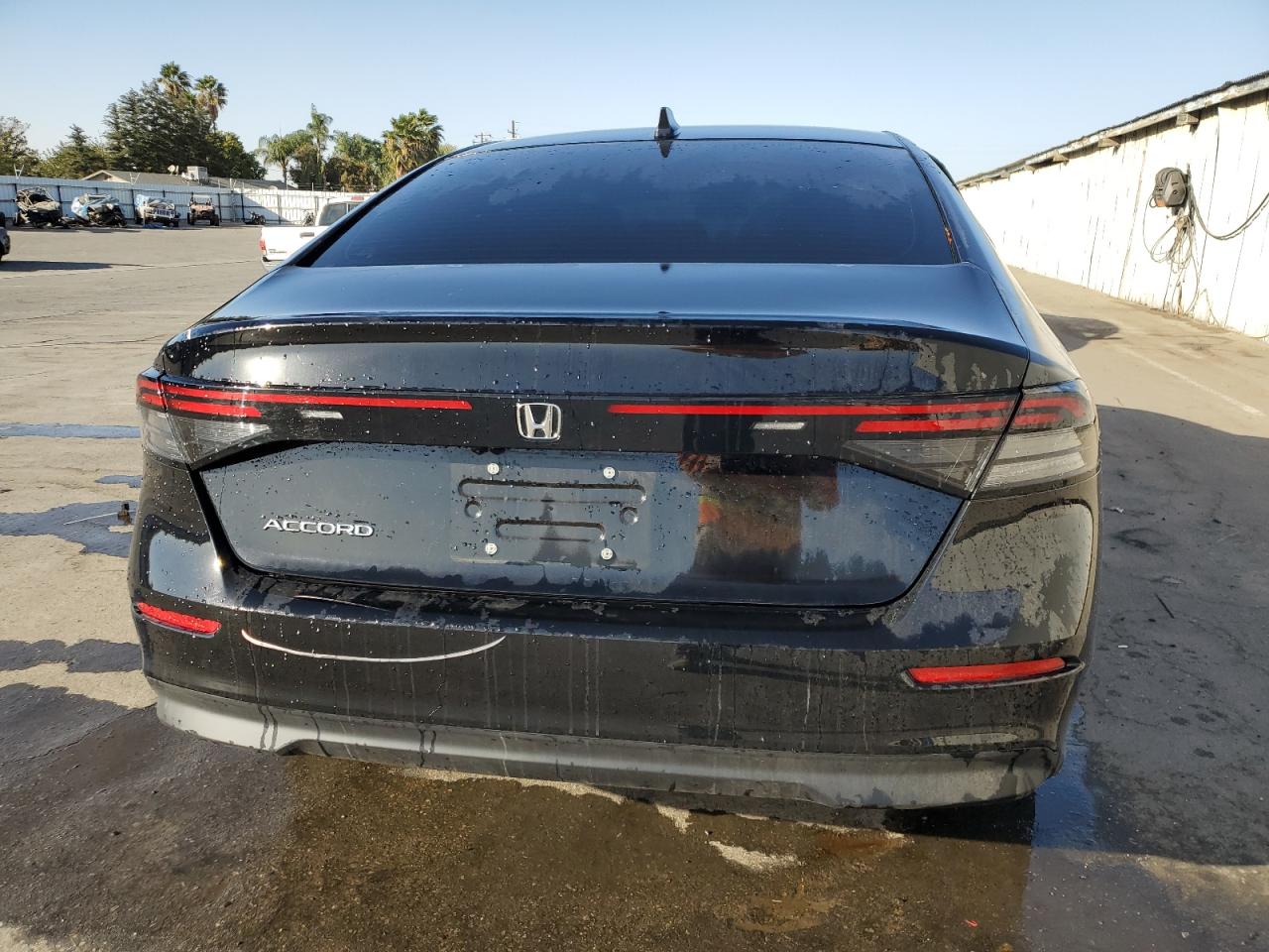 2024 HONDA ACCORD LX VIN:1HGCY1F22RA031506