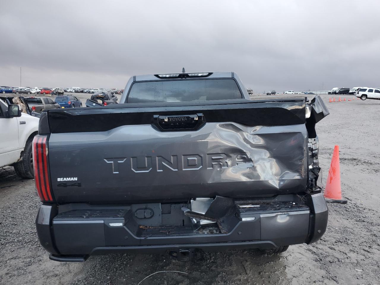 2023 TOYOTA TUNDRA CREWMAX PLATINUM VIN:5TFNA5DB0PX087332