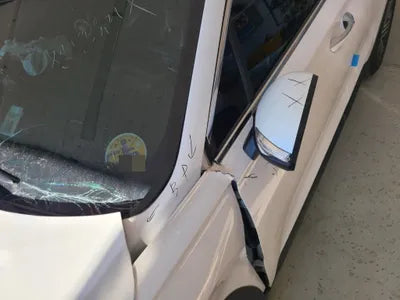 2021 Hyundai Santa FE KMHS281HGMU398339 VIN:KMHS281HGMU398339
