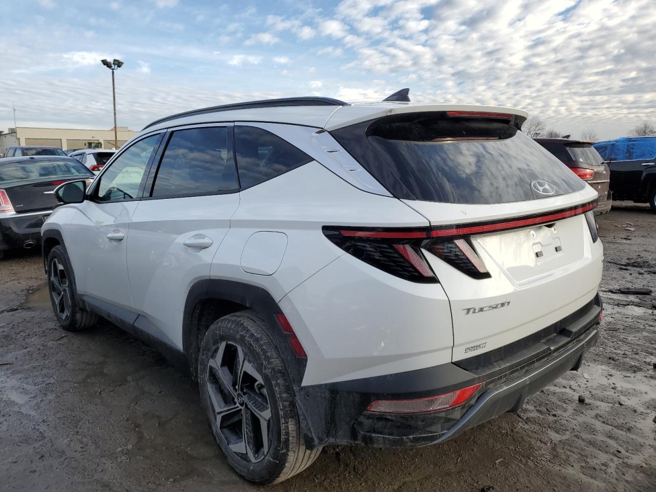 2024 HYUNDAI TUCSON LIMITED VIN:5NMJECDE3RH311660