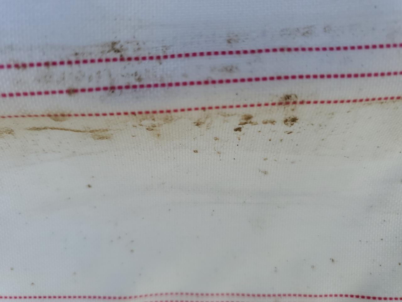 2022 SUBARU WRX PREMIUM VIN:JF1VBAF66N9022269