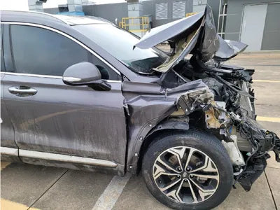 2019 Hyundai Santa FE KMHS381CDKU010058 VIN:KMHS381CDKU010058