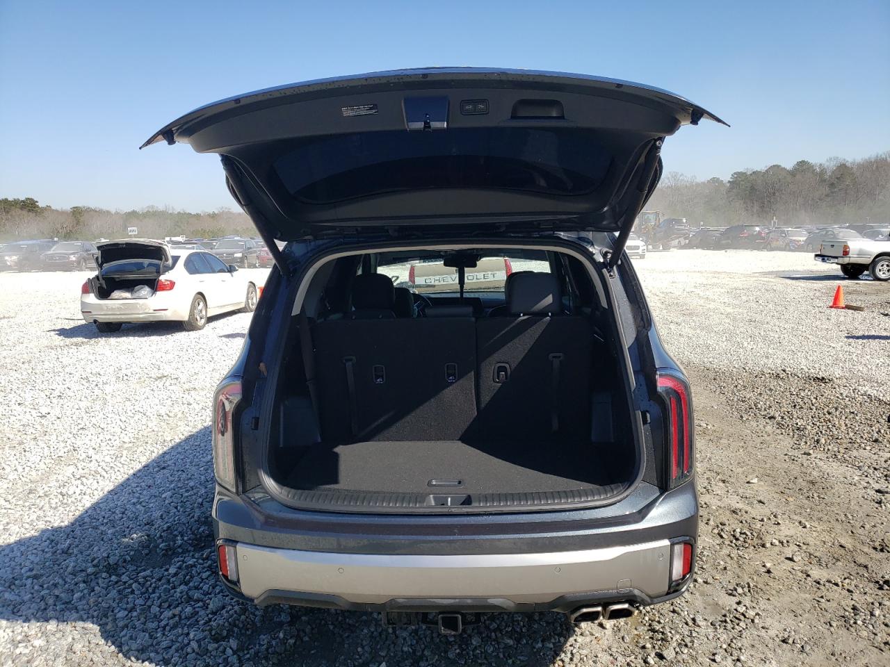 2024 KIA TELLURIDE EX VIN:5XYP3DGC8RG556240