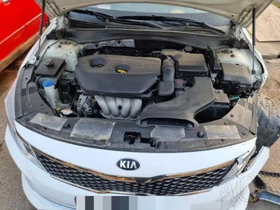 2015 Kia K5 KNAGU416BGA038787 VIN:KNAGU416BGA038787