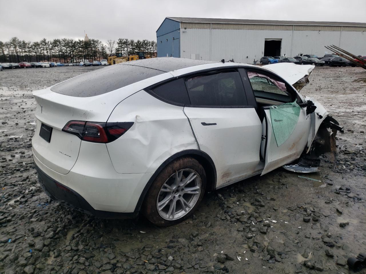 2023 TESLA MODEL Y  VIN:7SAYGDEE1PF804462