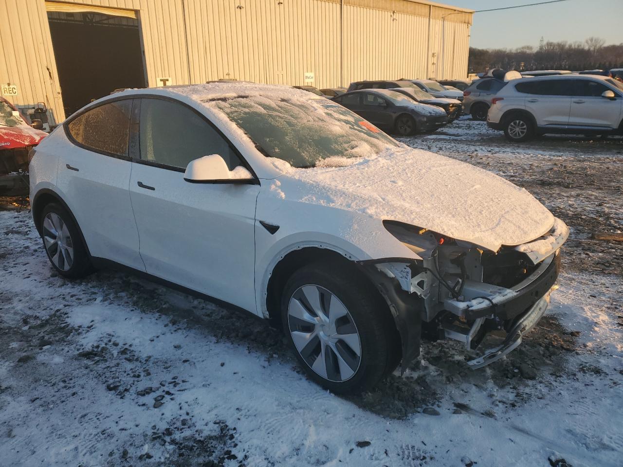 2023 TESLA MODEL Y  VIN:7SAYGDEE2PA121358