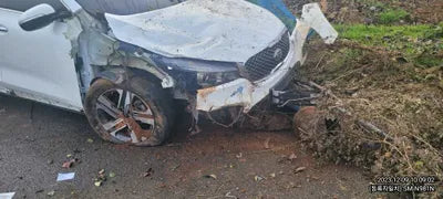 2017 Kia Sorento 339KMKNAPH81ABHA3 VIN:339KMKNAPH81ABHA3