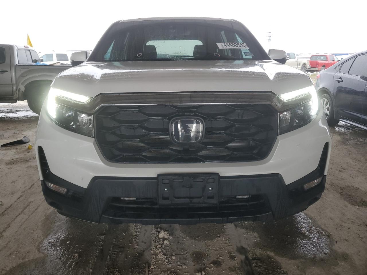 2023 HONDA PASSPORT EXL VIN:5FNYF8H57PB029779