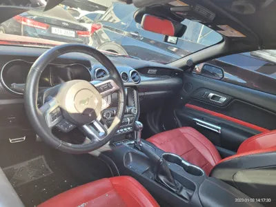 2019 Ford Mustang 1FATP8UH3K5196891 VIN:1FATP8UH3K5196891