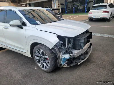2021 Hyundai Santa FE KMHS581HGMU325409 VIN:KMHS581HGMU325409