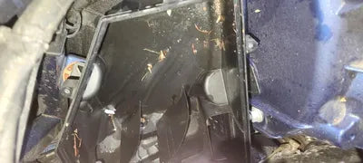 2020 BMW X5 M WBACV0104L9C83970 VIN:WBACV0104L9C83970