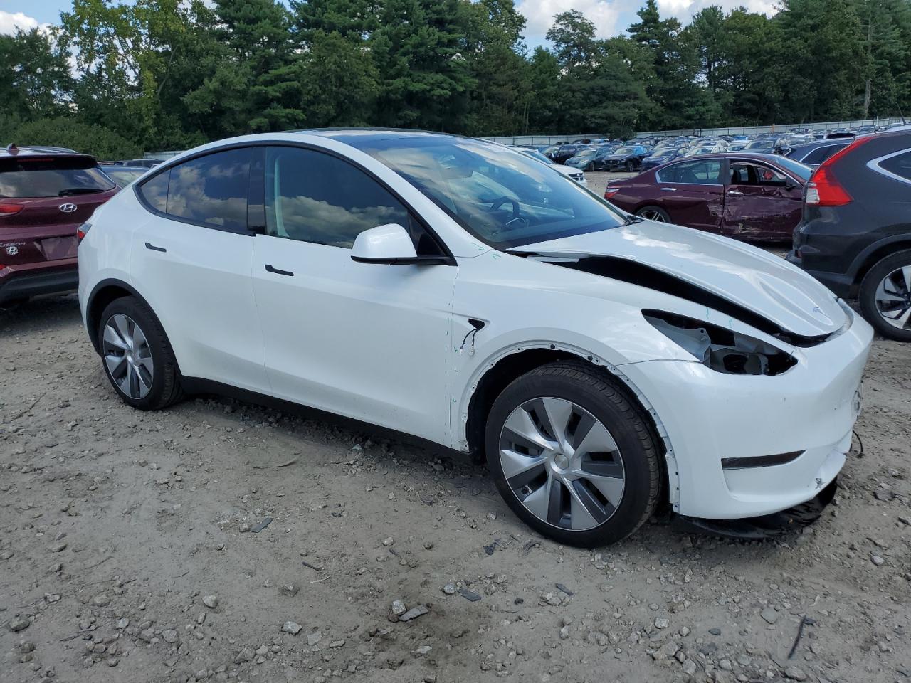 2023 TESLA MODEL Y  VIN:7SAYGDEEXPA117381