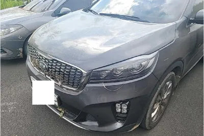 2019 Kia Sorento KNAPS81BBKA499609 VIN:KNAPS81BBKA499609