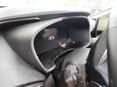 2021 Hyundai Santa FE KMHS381LGMU397907 VIN:KMHS381LGMU397907