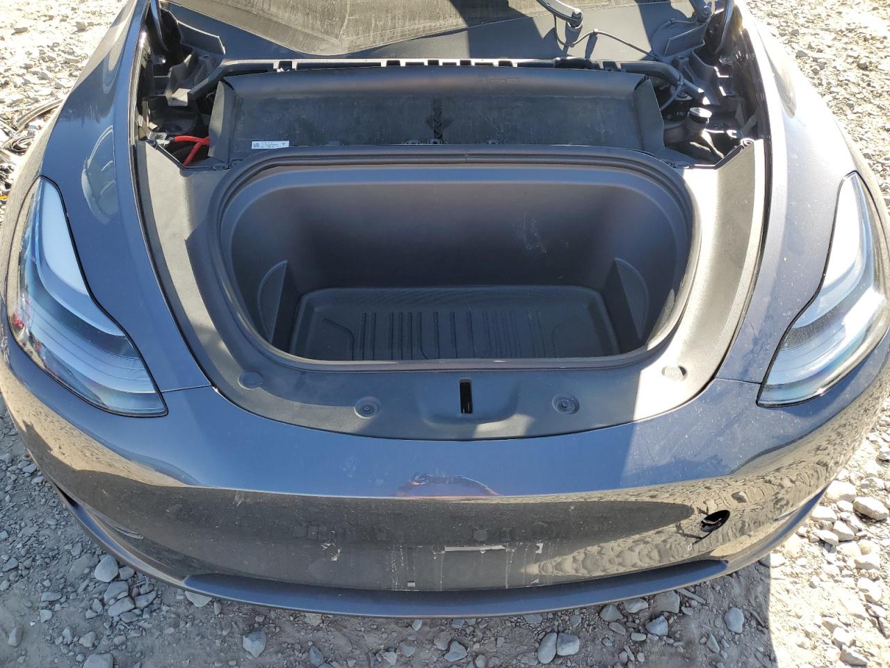 2023 TESLA MODEL Y  VIN:7SAYGDEE6PF896023